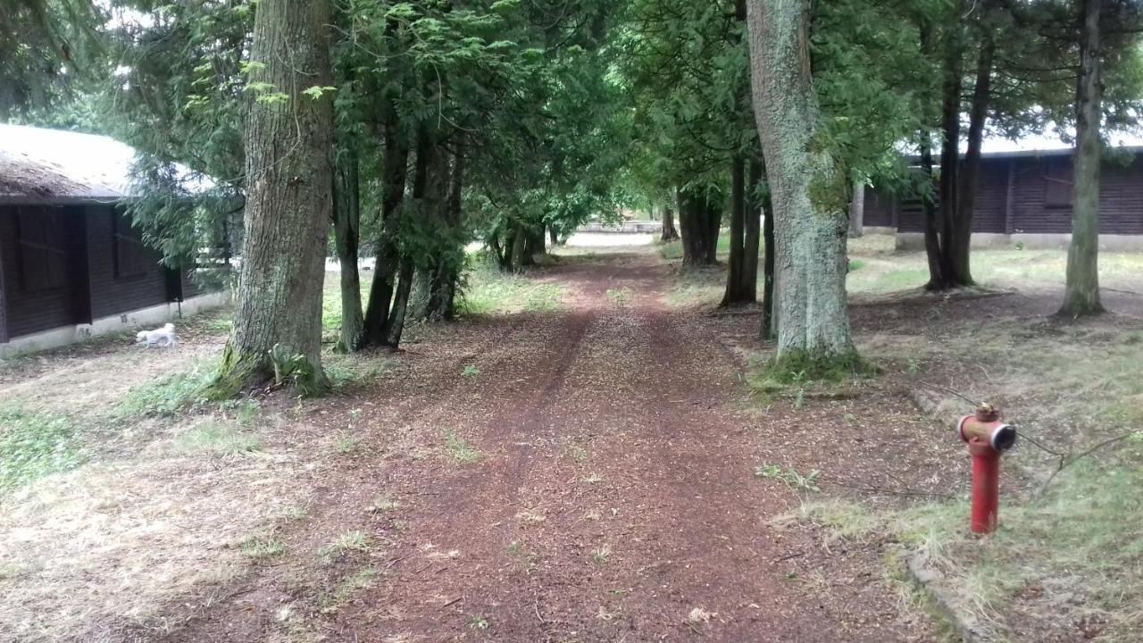 Lodge Stacja Wypoczynkowa Augustów